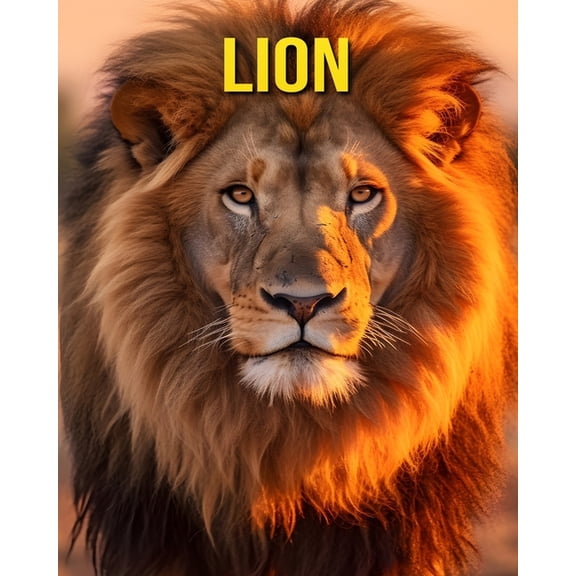 Lion: Fun and Amazing Pictures About Lion, (Paperback)