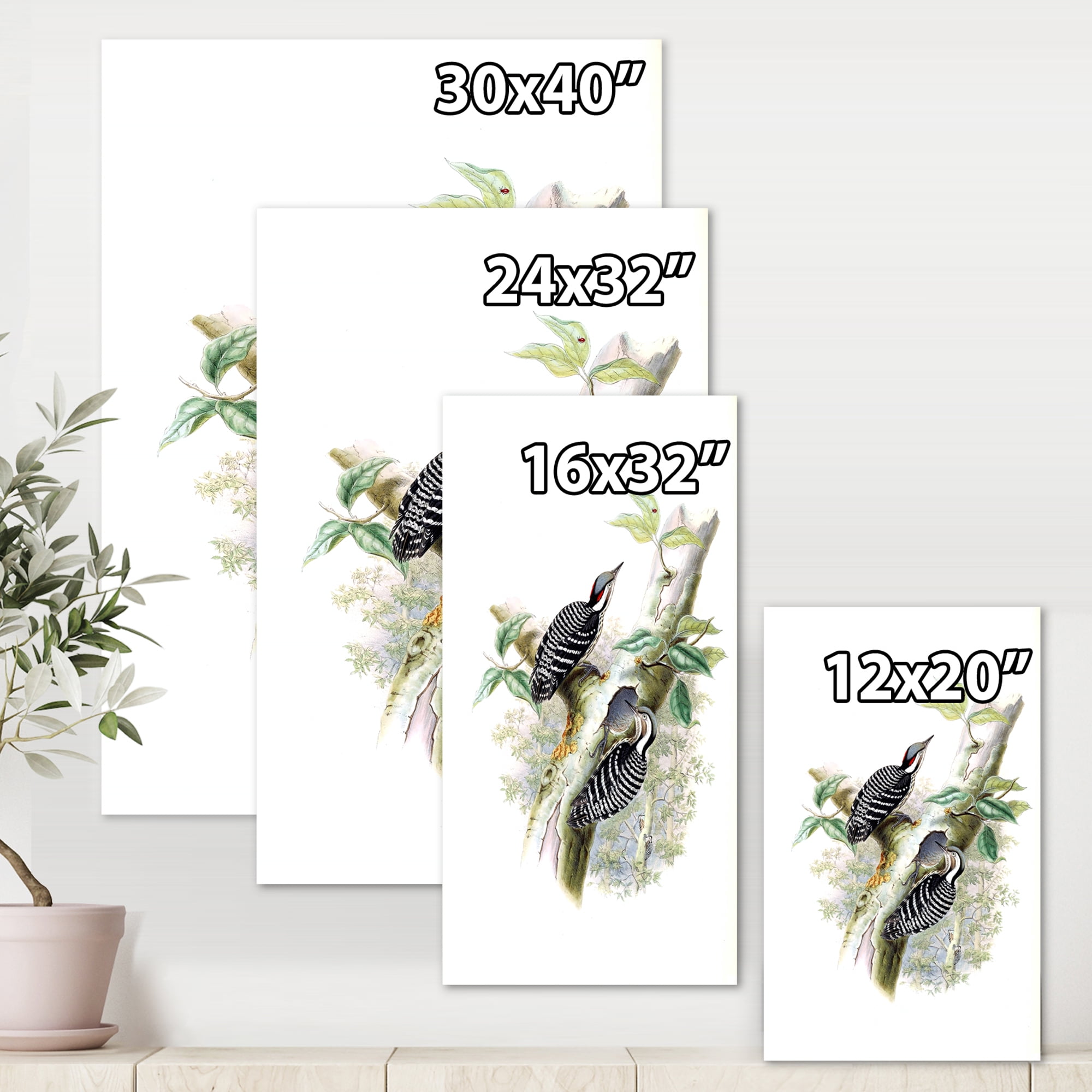 Designart ' Ancient Birds In The Wild V ' Traditional Canvas Wall Art Print
