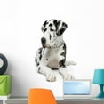 thumbnail image 1 of Great Dane Wall Decal by Wallmonkeys Peel and Stick Graphic (24 in H x 16 in W) WM149671, 1 of 4