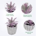 thumbnail image 3 of 2pcs simulation succulents potted retro flower pots interior decoration ornaments artificial green plants - type:style1;, 3 of 5