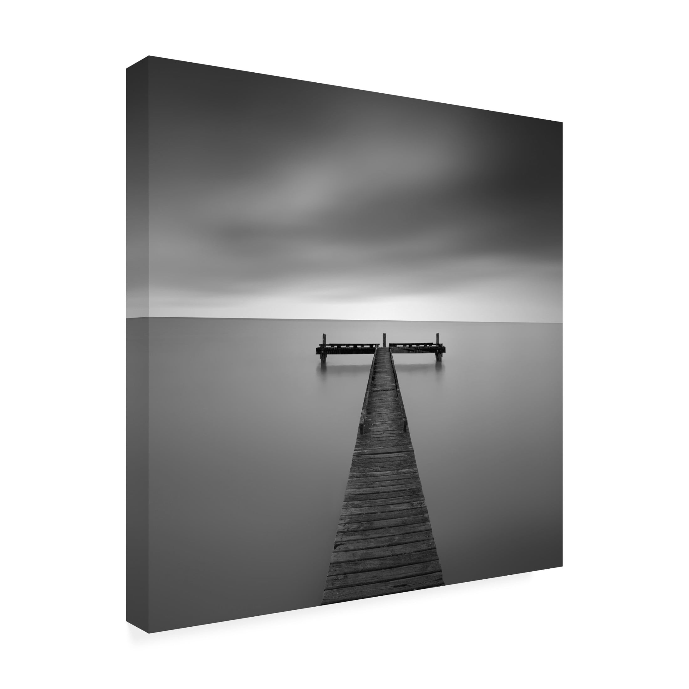 Trademark Fine Art Jana Luo Untitled Canvas Wall Art