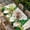 Green Brown, variant on St. Patrick's Day Table Cloths for 4 Foot Rectangle Tables, Gnomes Shamrocks Gold Coin Ombre Green Patio Waterproof Elastic Fitted Tablecloths, Washable Rectangular Table Cover for Camping