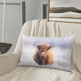 thumbnail image 5 of Sikiie Yak Print Plush Pillow Cover, Wrinkle-proof and Stain-resistant Pillow Protector without Pillow Core, Home Decoration-14"x20", 5 of 6