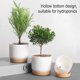 thumbnail image 4 of Macetas dobles para suculentas yuxing creativas verdes para decoración de mesa y jardín L, 4 of 5