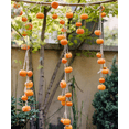 thumbnail image 6 of Artificial Persimmon Fruit String Decor 33.8" Long, 6 of 9