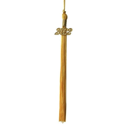 

Zerofeel 2Pcs Graduation Doctor Cap Tassel 2022 Charm Hanging Tassel Pendant