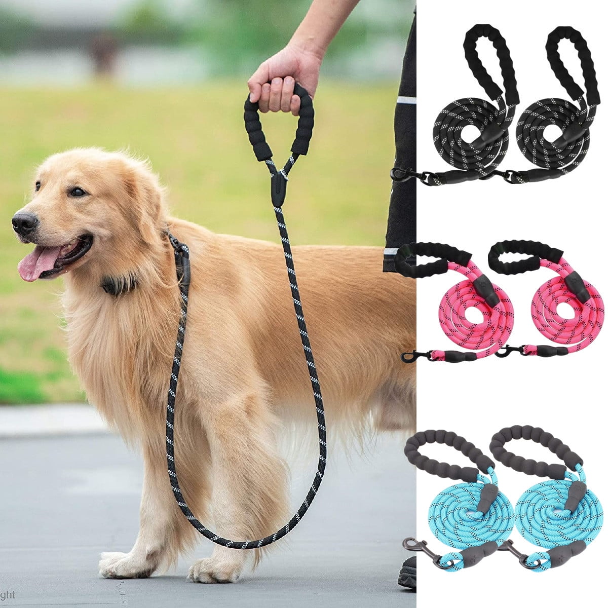 5 ft dog leash