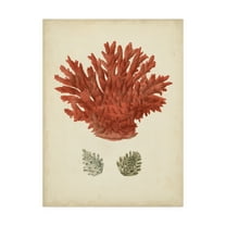 Trademark Fine Art 'Antique Red Coral III' Canvas Art by Vision Studio