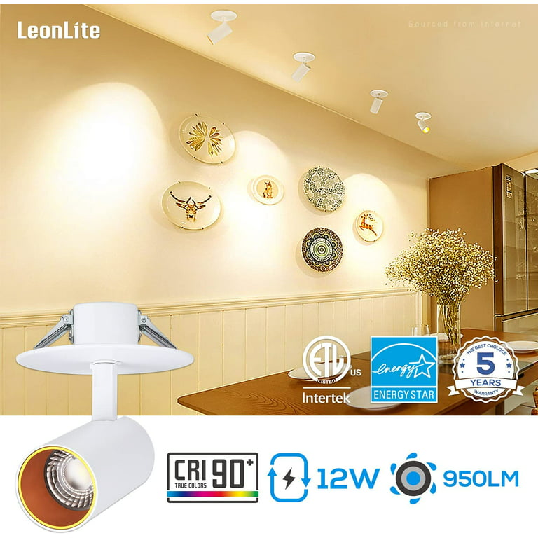 LEONLITE 12W LED Flush Mount Ceiling Spot Light with Junction Box, CRI90+  950LM, 3000K Warm White, Dimmable LED Integrated Spotlights for Corridor,  Living Room, Hallway 