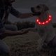 thumbnail image 5 of 4 piezas de luces para perros para caminar de noche, collares para perros iluminados, collar para mascotas LED impermeable ajustable recargable por USB, 5 of 5