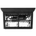 Black Outdoor Flush Mount Ceiling Light Fixture, Porch Light with Water