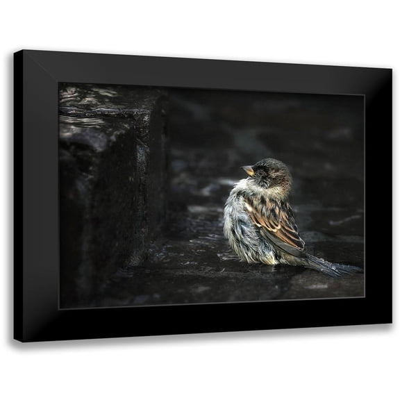 Droste, Holger 14x12 Black Modern Framed Museum Art Print Titled - the Wall