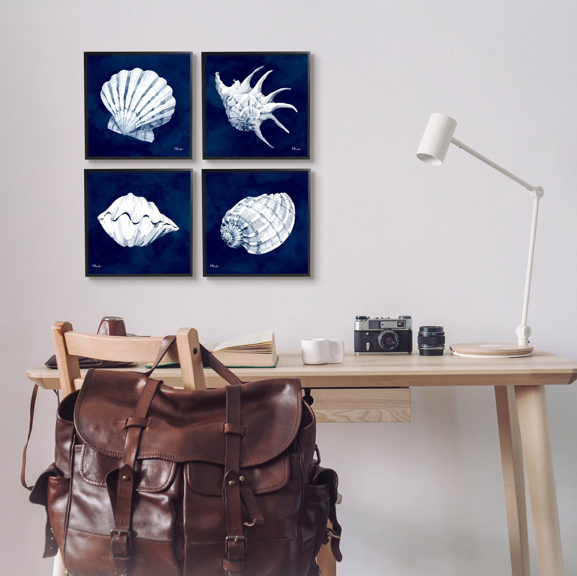 Stupell Industries Traditional Cyanotype Shells Graphic Art Black Framed Art Print Wall Art, Set of 4, Design by Paul Brent
