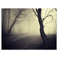 thumbnail image 2 of Old Looking Fall Forest Shoot - Landscape Photography Canvas Print, 2 of 3