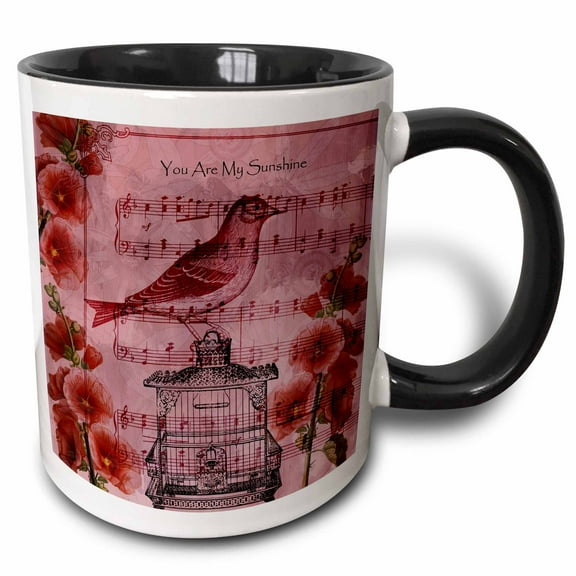 3drose, You Are My Sunshine Bird on Cage with Hollyhock Flowers, 11oz Two-tone Black Mug