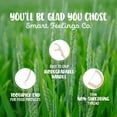 thumbnail image 2 of Biodegradable floss picks 100 pieces 2 packs | Eco-friendly bamboo straw grass sustainable mint flavored floss picks, suitable for children and adults teeth cleaning, for environmental conscious, 2 of 4