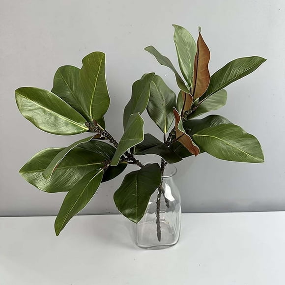 Xuewenshw 2 Pcs Branches de Magnolia Feuilles de Magnolia Pics de Feuilles de Magnolia Réalistes Brindilles de Magnolia Verdure pour Vase de Table Intérieur Extérieur Fleur d'Hiver