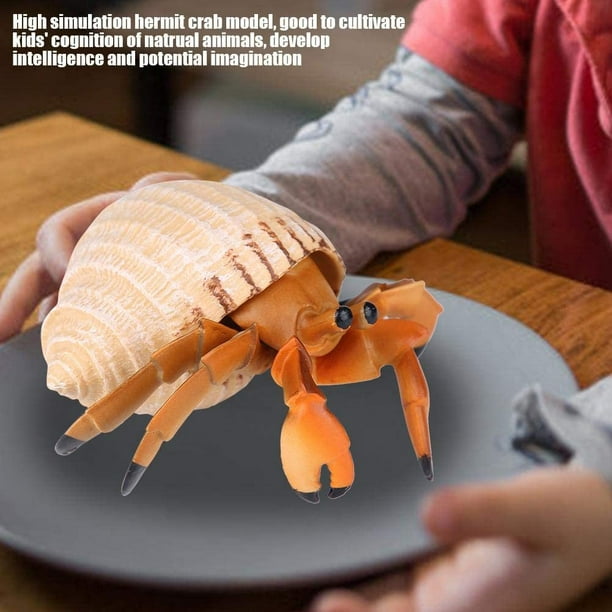 Hermit Crab Simulation Model Toy Lifelike Realistic Animal Toys Gift Educational Prop for Kids Walmart