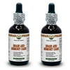 Brain And Memory Care Glycerite, Ginkgo (Ginkgo Biloba) Leaf, Gotu Kola (Centella Asiatica) Herb, Rosemary (Rosmarinus Officinalis) Leaf Alcohol-Free Liquid Extract, Glycerite Herbal