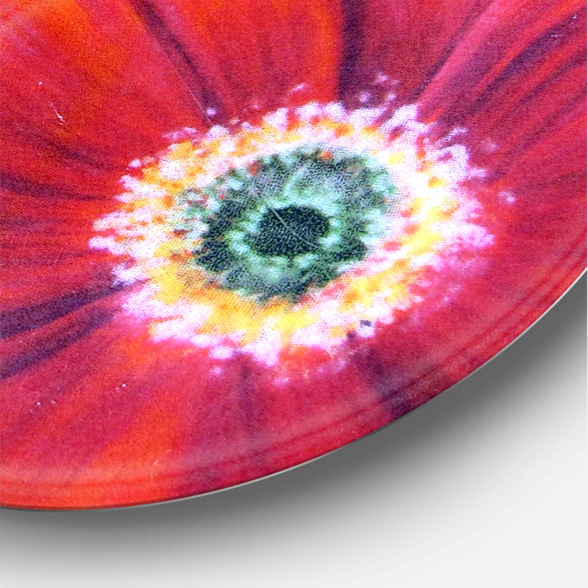 Designart 'Red Blossoming Poppies Over Wild Green V' Traditional Circle Metal Wall Art 36x36 - Disc of 36