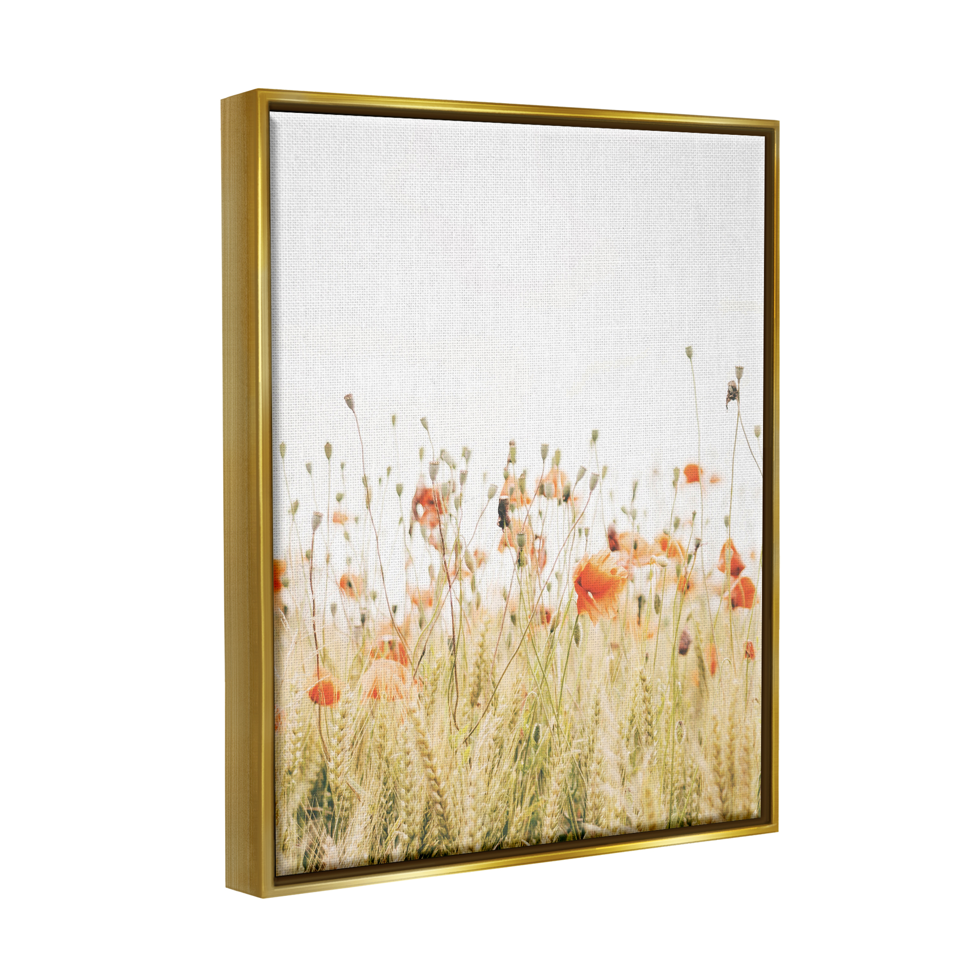 Stupell Industries Poppy Field Photography Botanical & Floral Photography Gold Floater Framed Canvas Art Print Wall Art, 25 x 31