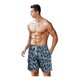 thumbnail image 1 of Shorts Hombre Verano Short Playa Traje Baño Con Forro Malla LOLE  Short, 1 of 3