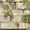 Color 4, variant on Peel and Stick Wallpaper Realistic Green Foliage Cracked Whitewashed Bricks Wall Mural 17.7in x 9.8ft Self Adhesive Removable Wall Paper Renter Friendly Wallpaper for Bedroom Cabinets