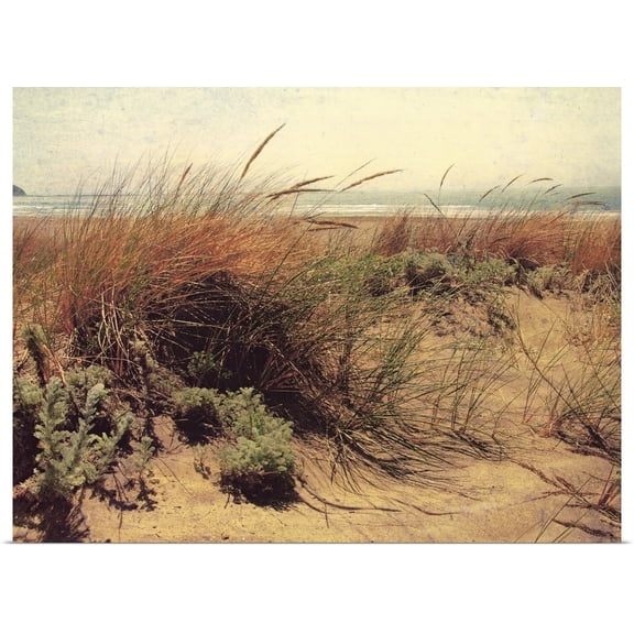Great BIG Canvas | Rolled Amy Melious Poster Print entitled Sand Dunes I