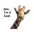 thumbnail image 2 of CafePress - Moo Giraffe Goat Mug - 11 oz Ceramic Mug - Novelty Coffee Tea Cup, 2 of 4