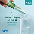 thumbnail image 2 of Great Lakes Wellness Sustainable Marine Collagen Peptides Powder for Skin, Hair, Nails, Joints & Digestion - Unflavored - Hydrolyzed, Wild Caught, MSC Certified, Non-GMO, Kosher - 20 Sticks, 2 of 3