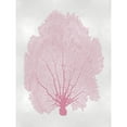 thumbnail image 3 of Miller, Melonie 15x18 Black Modern Framed Museum Art Print Titled - Sea Fan Pink Blush II, 3 of 5