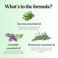 thumbnail image 3 of Maple Holistics Cleansing Kids Shampoo for Dry Scalp with Tea Tree Oil and Rosemary, 16oz, 1 Piece, 3 of 4