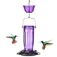 Kingsyard Glass Hummingbird Feeder with 6 Feeding Ports and Ant Moat