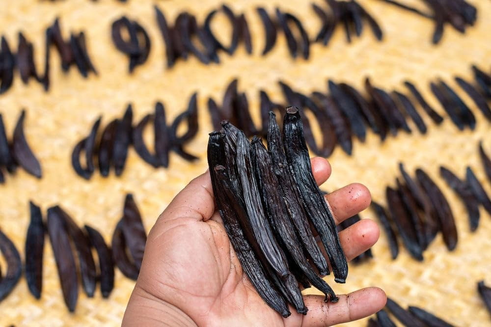 Guatemalan Vanilla Beans Whole Grade A Vanilla Pods for Homemade Vanilla Extract, Baking, Ice Cream, Flavoring, & Vanilla Powder - (50 Pack)