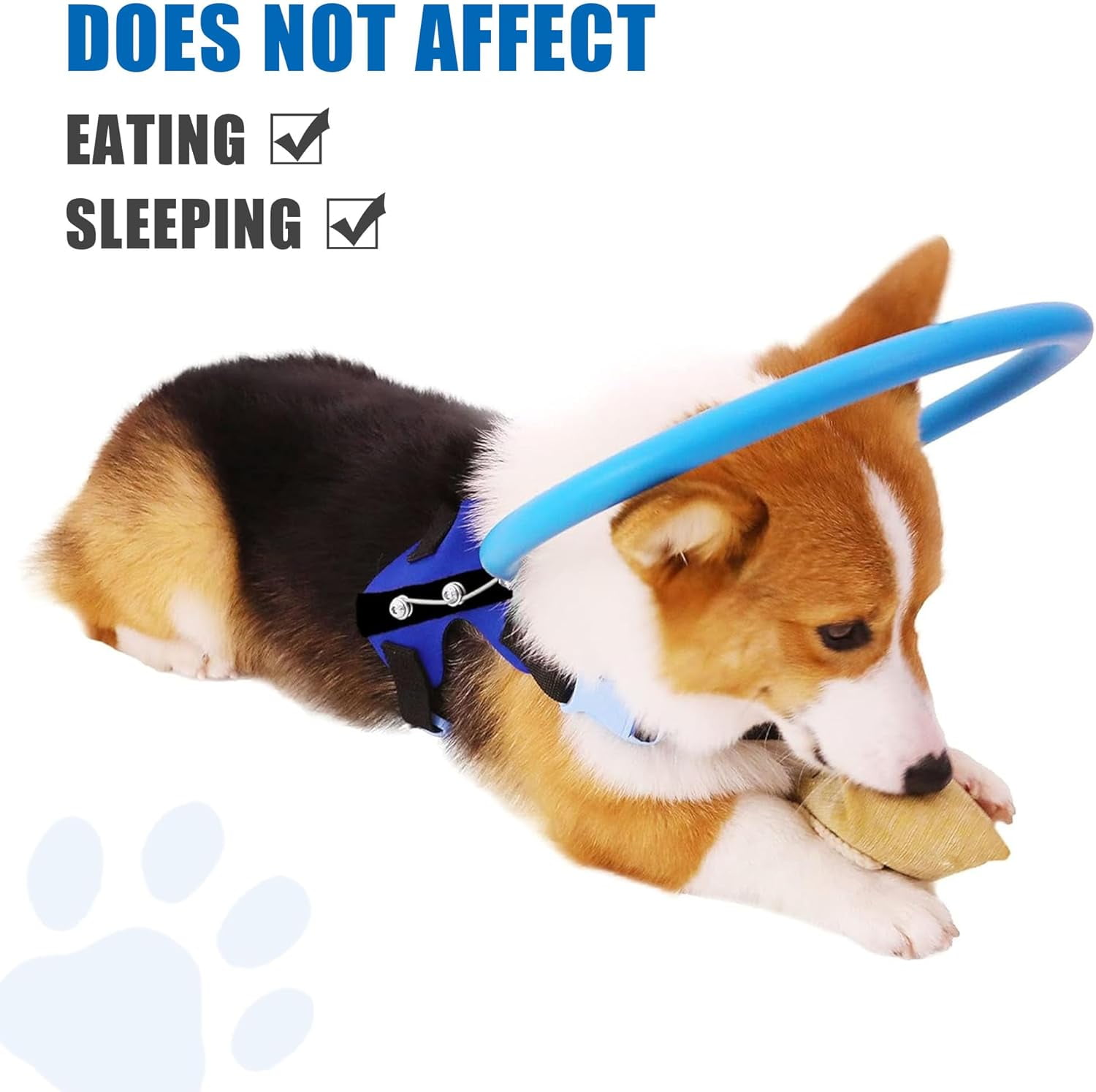 Blind Dog Halo Harness - Protective & Guiding Collar for Blind Dogs, Confidence Building Accessory, Extra Small