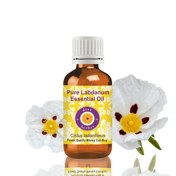 Deve Herbes Pure Labdanum Essential Oil (Cistus ladaniferus) Steam Distilled, Natural & Aromatherapy Use 5ml