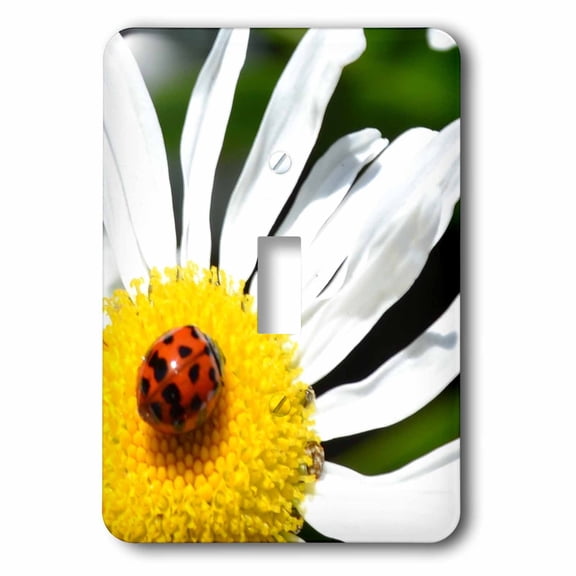 3dRose, ladybug on a daisy II, single toggle switch