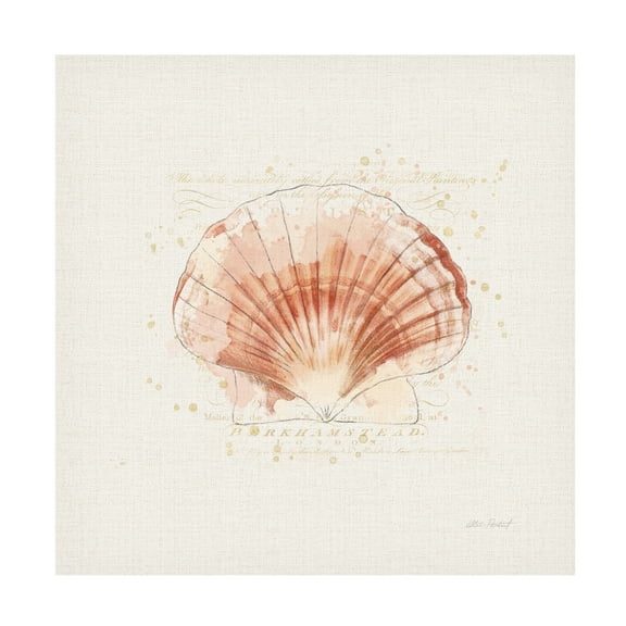 Katie Pertiet 'Shell Collector IV' Canvas Art