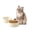 Light Yellow, variant on LarqeeWare Ceramic Set of 2 Cat Bowls, Food and Water Bowls for Cats, Kitty, 2pcs Cat Dishes, Pet Feeder(5.1inch, 2 x Light Green Bowls)