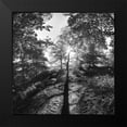 thumbnail image 2 of Henson, Martin 15x15 Black Modern Framed Museum Art Print Titled - Woodland Tones I, 2 of 5