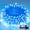 Blue White-100 LED, variant on 100 LED Red Green String Lights Indoor Outdoor Holiday Decor