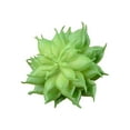 thumbnail image 2 of 10x Fake Succulents Small Vivid Useful Simulated Plants Multi-functional Lifelike Photo Props for Household Yards Lawn Flowerpot Type 30, 2 of 9
