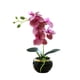 thumbnail image 1 of Naiovety Bonsái de orquídeas artificiales, maceta de Phalaenopsis en maceta, planta de flores falsas realistas para el hogar, balcón al aire Type3 NO3, 1 of 6