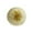 B, variant on Osmanthus Series Squishy Fidget Toys for Adults TPR Soft Mud Texture Slow Rebound Tactile Gadget Cat Paw Daifuku Cream Strip Desktop Sensory Accessory 1 Pack