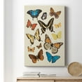 thumbnail image 6 of Collected Flutter II Premium Gallery Wrapped Canvas - Ready to Hang, 6 of 9