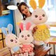 thumbnail image 2 of 32/45/60/80cm Cute / Soft / Rabbit Plush Toy / Rabbit Doll with Floral Skirt / Children's Birthday Gift / Christmas Giftblue32cm Deng Xun unisex, 2 of 2