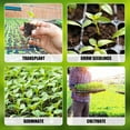 thumbnail image 3 of Cell Thick Durable Flats Vegetable Fruit Seeds Seedling Plastic Plug Farmer Nursery Trays Roots, 3 of 9