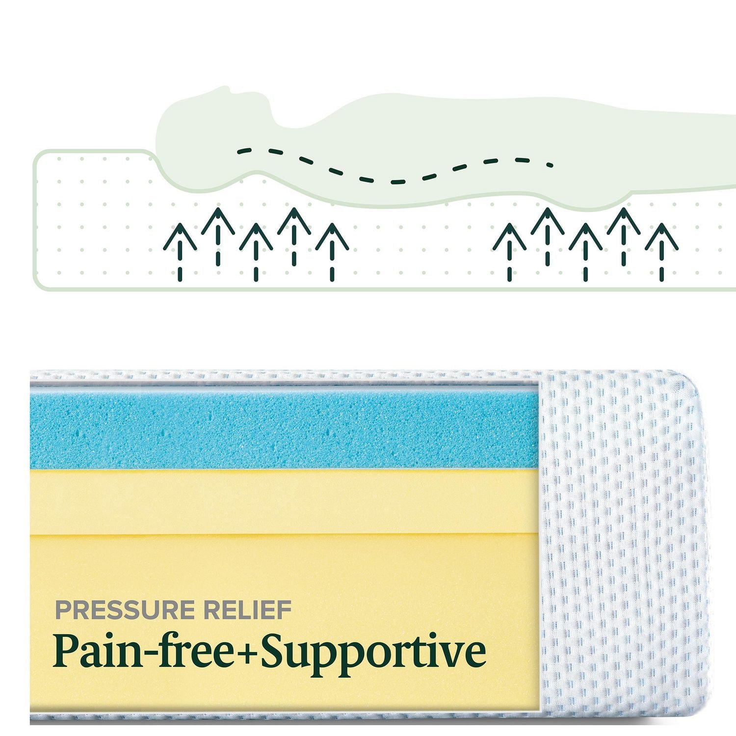 Zinus Green Tea 10 inch Memory Foam Mattress