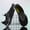 Black, variant on Unisex Water Shoes, Couples Style Quick Dry Breathable Non-Slip Aqua Shoes