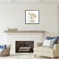 thumbnail image 3 of Stupell Industries Grazing Sandpiper Shoreline Animals & Insects Painting Black Framed Art Print Wall Art, 24 x 24, 3 of 9